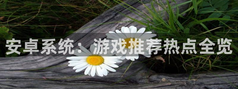 赢咖娱乐注册平台：安卓系统：游戏推荐热点全览