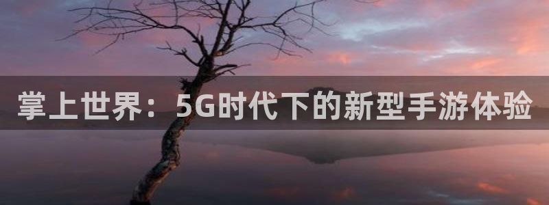 赢咖娱乐网页登录入口：掌上世界：5G时代下的新型手游体验