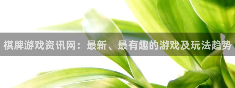 赢咖娱乐官方登录网址：棋牌游戏资讯网：最新、最有趣的游戏及玩