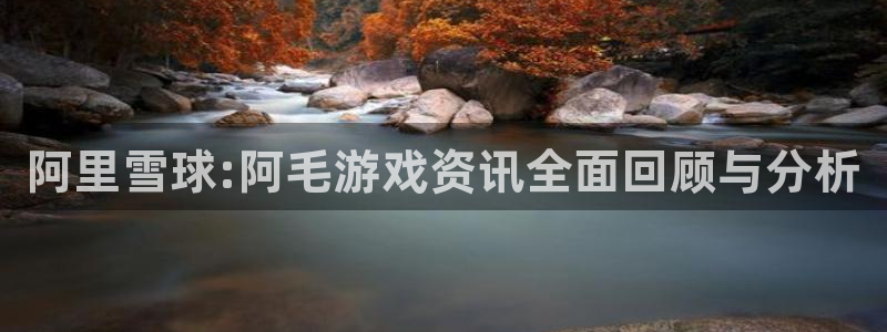 赢咖娱乐登录：阿里雪球:阿毛游戏资讯全面回顾与分析