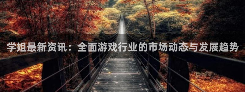 赢咖娱乐平台注册开户：学姐最新资讯：全面游戏行业的市场动态与