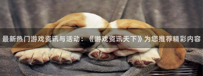 赢咖娱乐平台登录入口：最新热门游戏资讯与活动：《游戏资讯天下