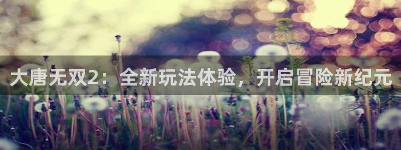 赢咖娱乐app：大唐无双2：全新玩法体验，开启冒险新纪元