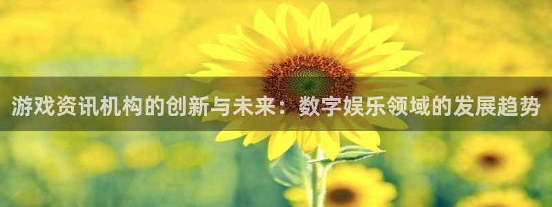赢咖娱乐平台官网客服电话：游戏资讯机构的创新与未来：数字娱乐