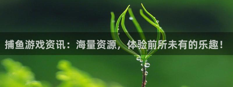 赢咖娱乐注册登录：捕鱼游戏资讯：海量资源，体验前所未有的乐趣