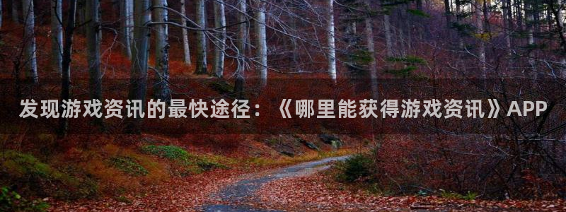 赢咖娱乐平台注册：发现游戏资讯的最快途径：《哪里能获得游戏资