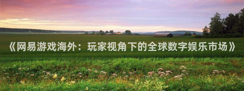 赢咖娱乐是什么：《网易游戏海外：玩家视角下的全球数字娱乐市场