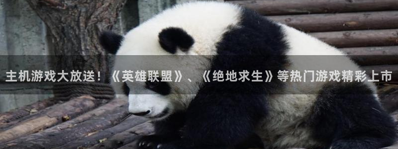 赢咖娱乐代理登陆：主机游戏大放送！《英雄联盟》、《绝地求生》