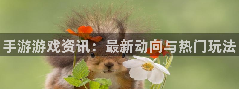 赢咖娱乐注册测速：手游游戏资讯：最新动向与热门玩法