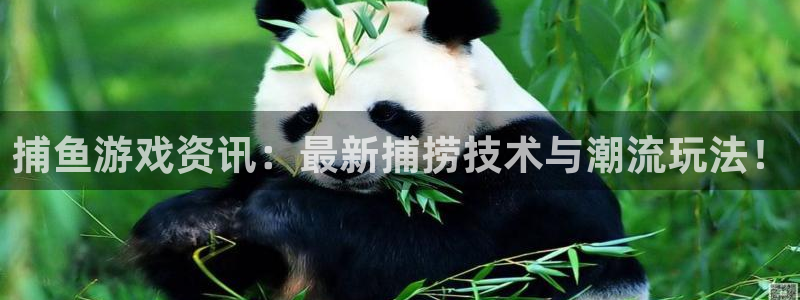 赢咖娱乐注册官方登录app：捕鱼游戏资讯：最新捕捞技术与潮流