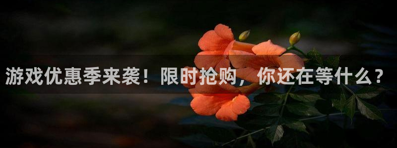 赢咖娱乐登录：游戏优惠季来袭！限时抢购，你还在等什么？