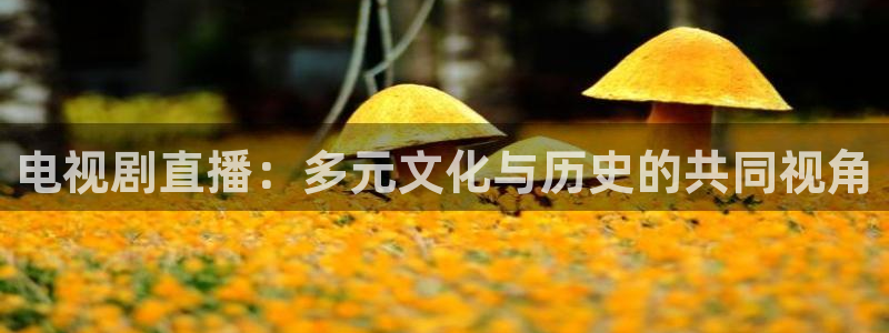 nba直播吧极速直播吧：电视剧直播：多元文化与历史的共同视角