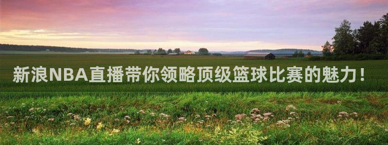 直播吧足球赛：新浪NBA直播带你领略顶级篮球比赛的魅力！