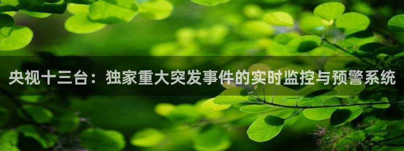 nba极速体育直播吧体育直播jrs：央视十三台：独家重大突发事件的实时监控与预警系统